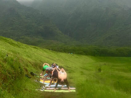 Jungle Yoga Hikes